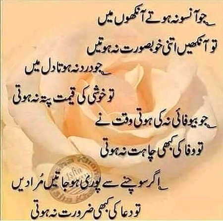 💖💕💓💖💕💓💖💕💓