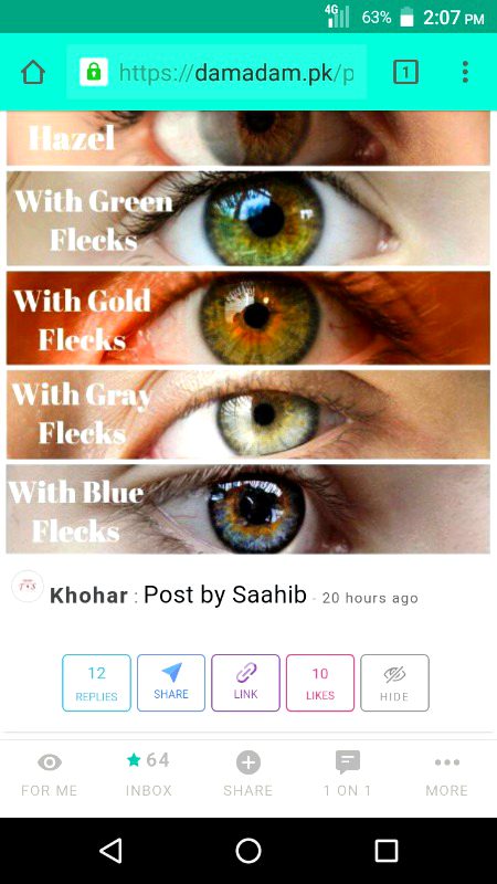 Damadam Roasting image