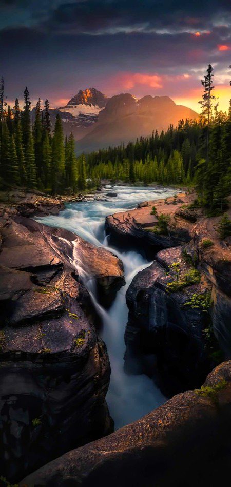 Beautiful Nature image