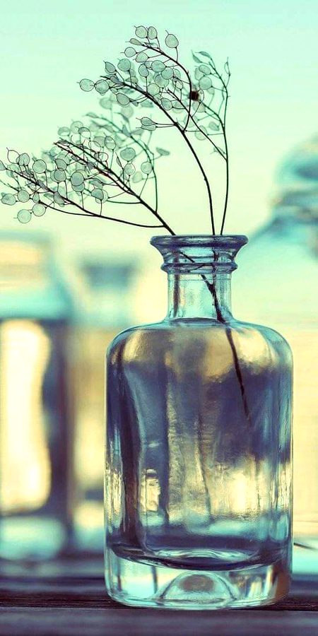 Beautiful Nature image