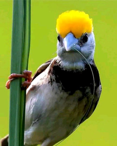 Beautiful Nature image