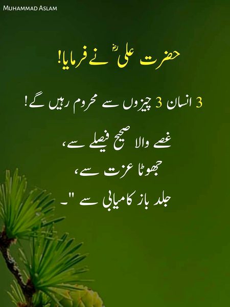 Islamic Quotes image