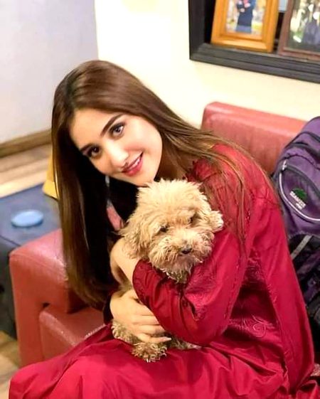 Pakistani Celebs image