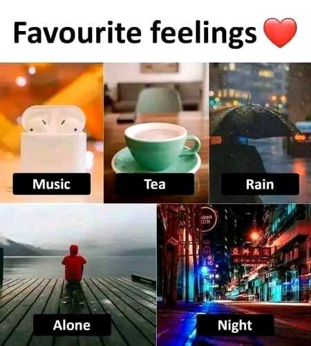 🙂🙂🙂🙂🙂🌟⭐