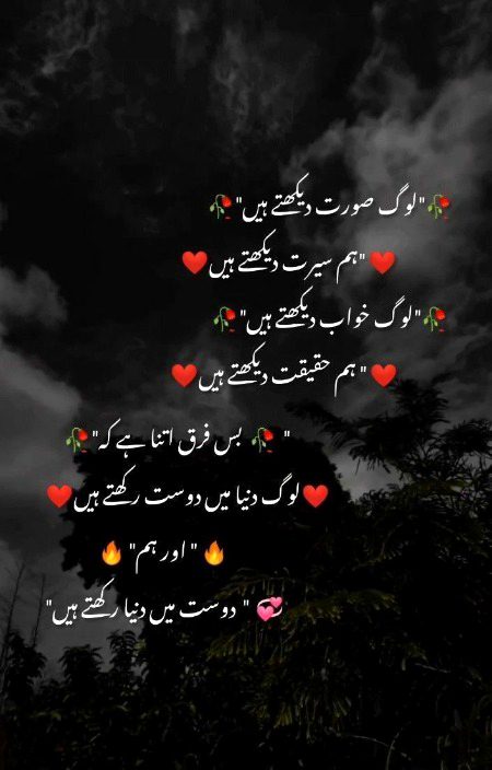my special panchi