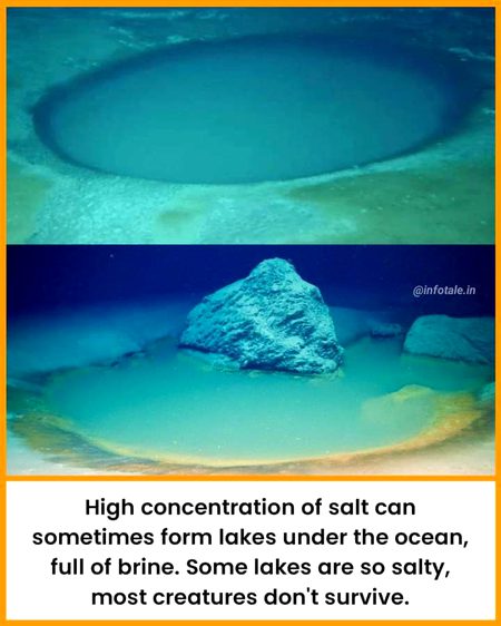 Interesting Posts image