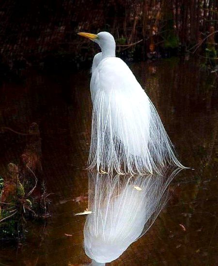 Beautiful Nature image