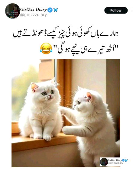 Jokes image