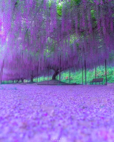 Beautiful Nature image