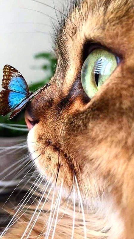 Beautiful Nature image