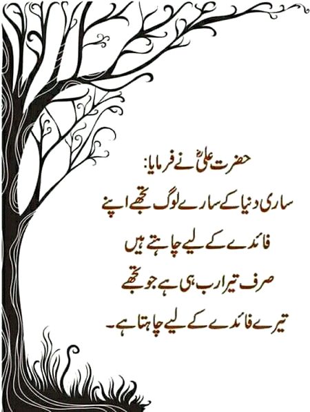 Islamic Quotes image