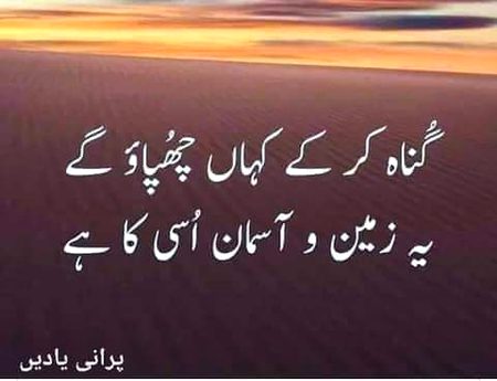 Islamic Quotes image