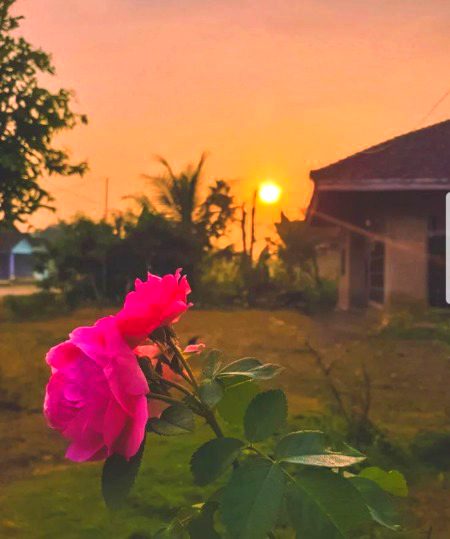 Beautiful Nature image