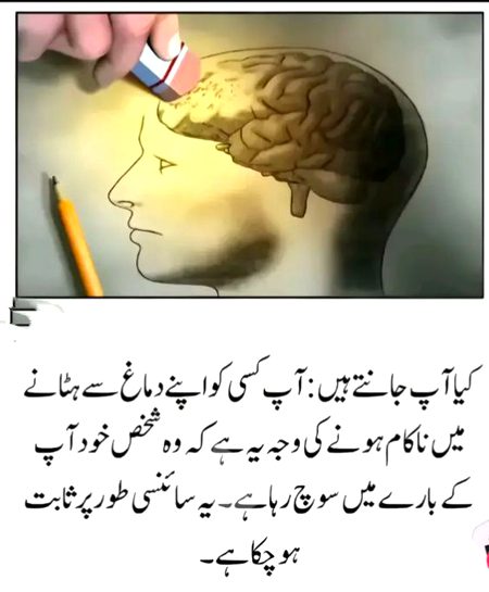 Interesting Posts image