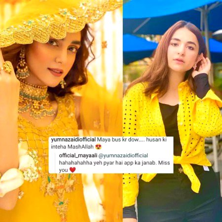 Pakistani Celebs image