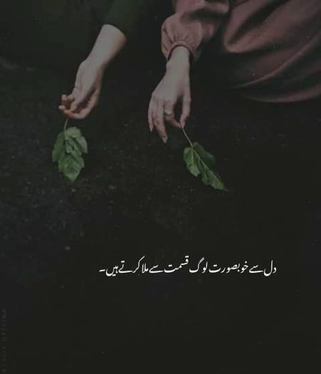 Life Advice image