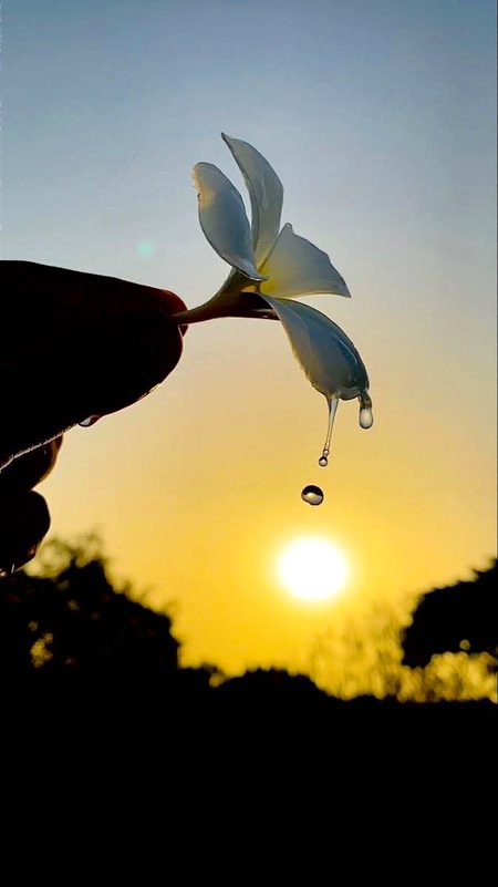 Beautiful Nature image