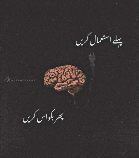 Bilkul...😌😌