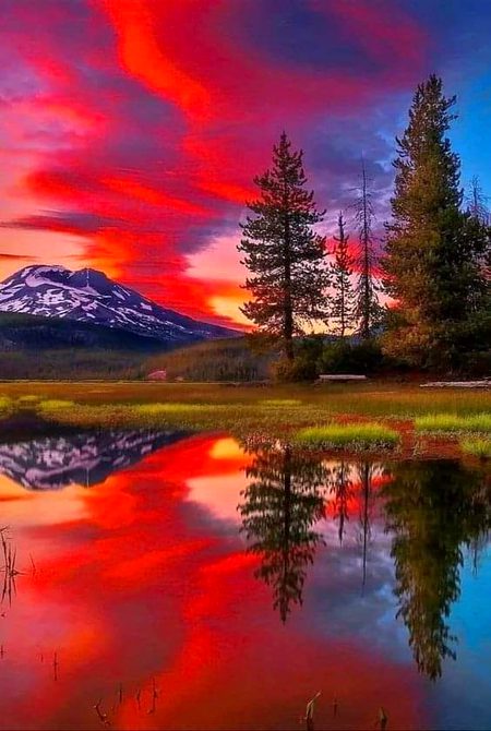 Beautiful Nature image