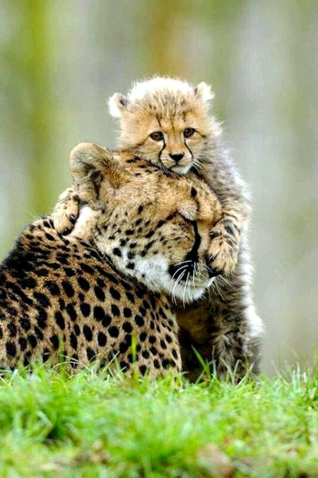 Beautiful Nature image