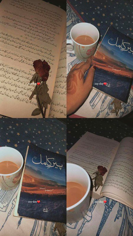 My first novel I read and it's my favorite novel 🤍🕊️