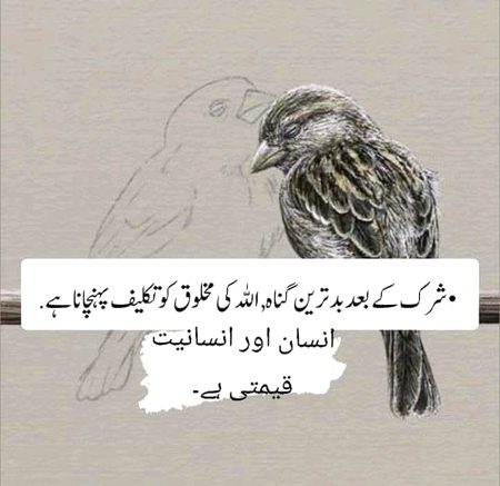 Life Advice image