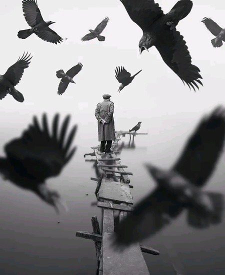 اگر پنچھی کسی اور کے دانے کے عادی ہو جائیں تو انہیں آزاد کر دینا چاہیئے📚🖋️🖋️🖋️