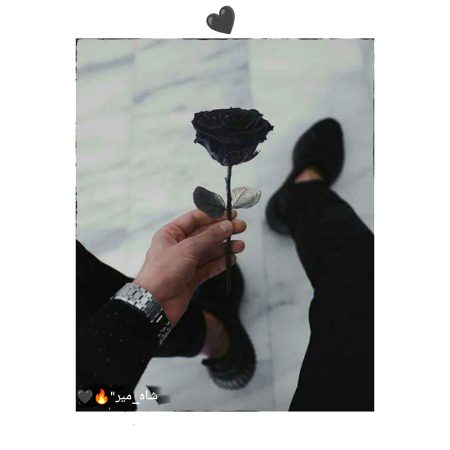 ہوں گے اور بھی پُھول جہاں میں...!!
میں سیاہ ہُوں میری خُوشبُو ہی اور ہے...🙂🖤
"شاہ_میر"🔥🖤