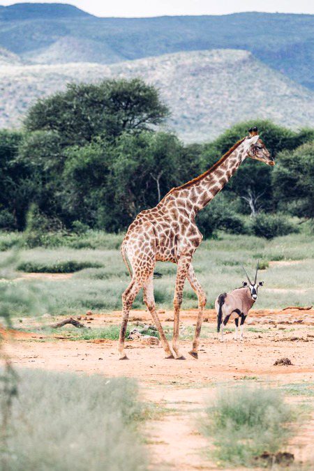 Beautiful Nature image