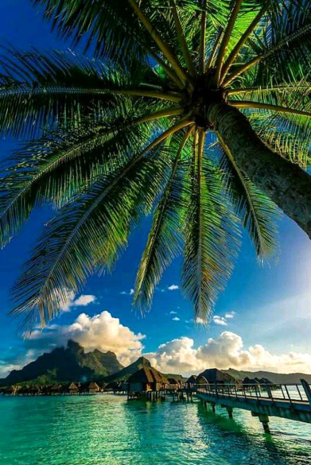 Beautiful nature