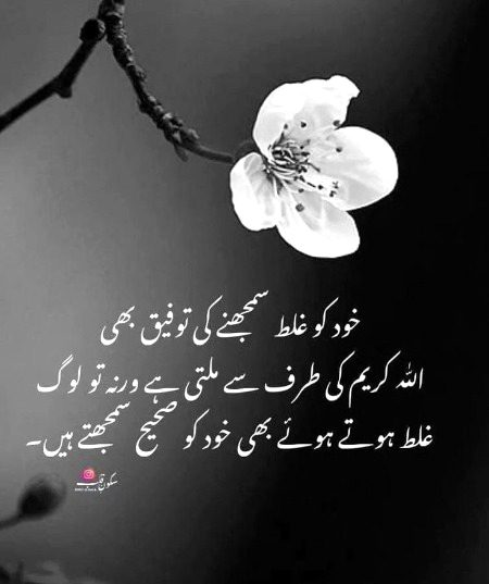 Islamic Quotes image