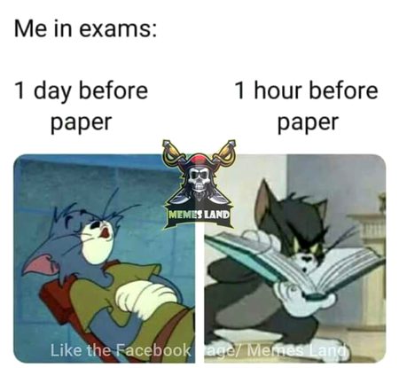 Memes & Satire image