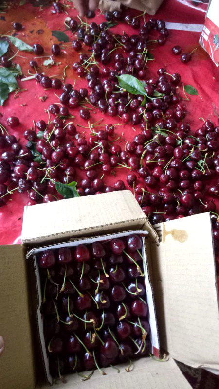 Beautiful Nature image