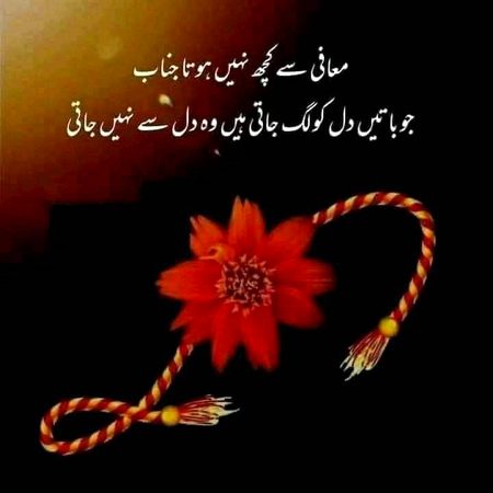 Saanaam ❣️❣️