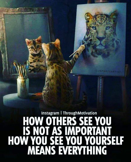 Life Advice image
