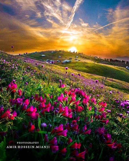 Beautiful Nature image