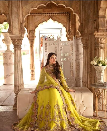 Pakistani Celebs image