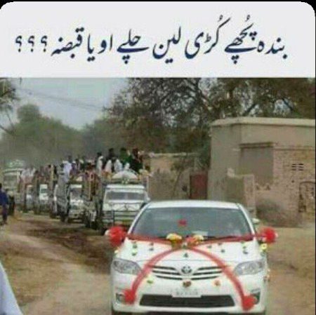 Memes & Satire image