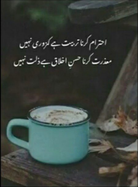 Dil- e -Nadan❤️