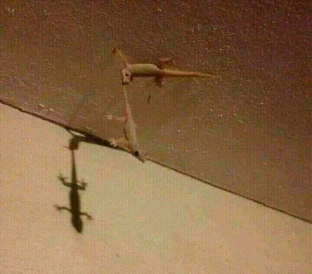 i will never let you go baby 😦