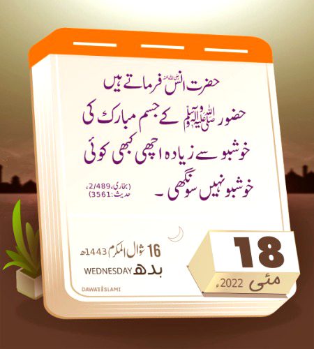 Subah ba Khair Zindagi ❤️☺️