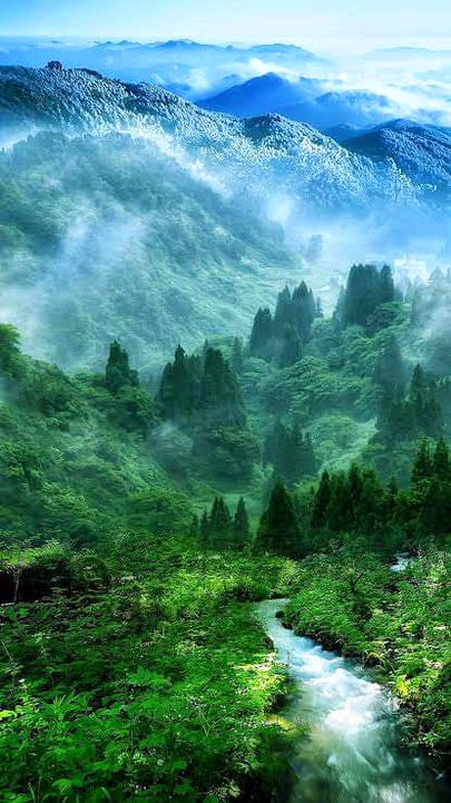 Natural beauty ❤️❤️❤️