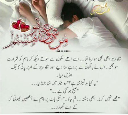 Romantic Novels image
