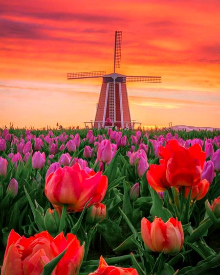 Beautiful Nature image
