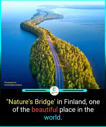 Interesting Posts image