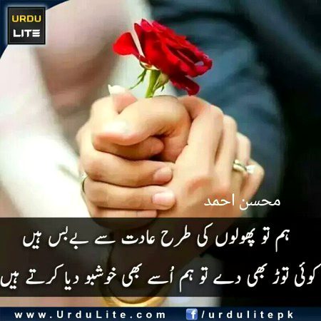 Sad Poetry image
