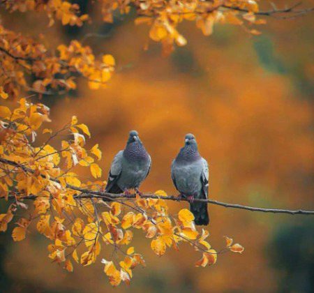 عاجزی اختیار کریں اور یہ مت سوچیں کہ آپ دوسروں سے بہتر ہیں
آپ خاک ہیں اور خاک میں ہی لوٹ کے جائیں گے