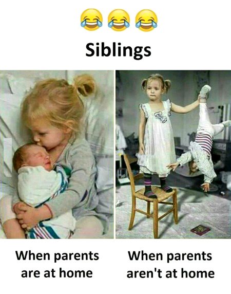 Memes & Satire image