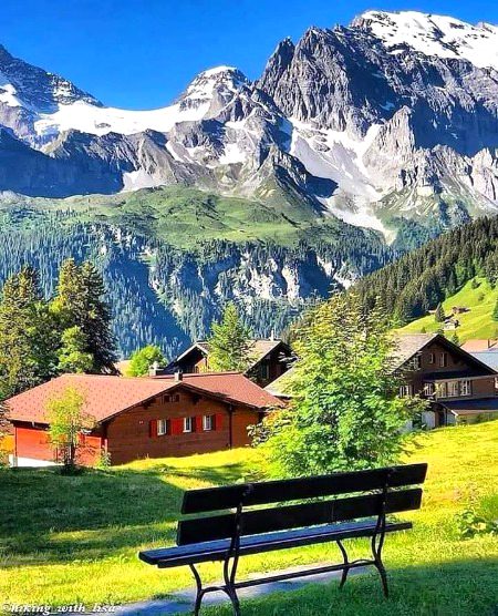 Beautiful Nature image