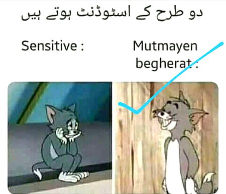 Kon kon 2nd category mei ata hai tell me 😃😃😃